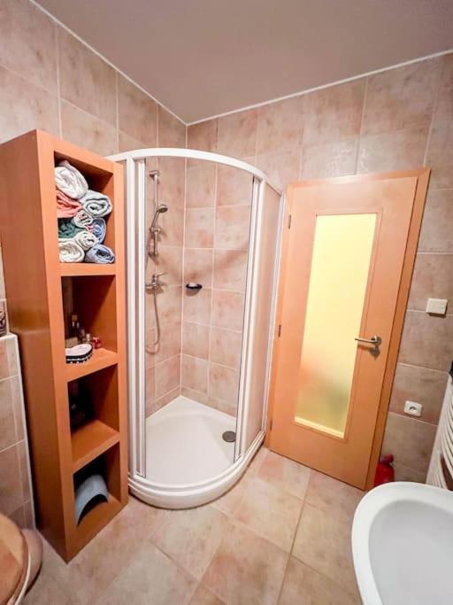 شقة Prokop Železná Ruda المظهر الخارجي الصورة
