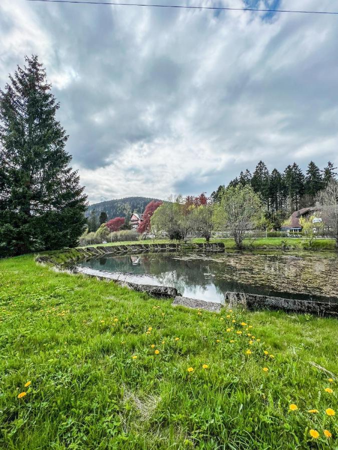 شقة Prokop Železná Ruda المظهر الخارجي الصورة